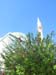 018_moschee