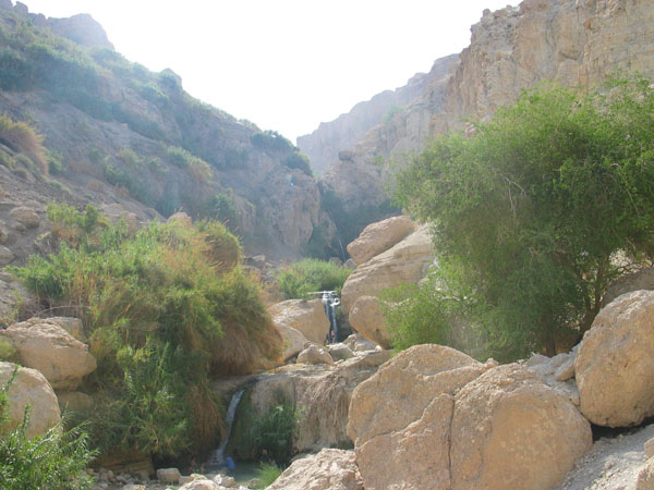 446_en_gedi