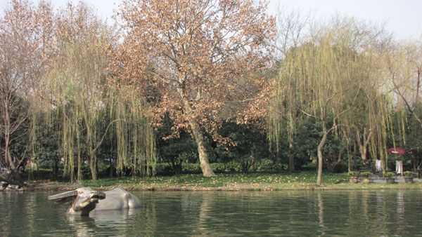 IMG_6456_hangzhou
