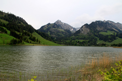 schwarzsee
