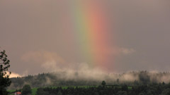 regenbogen