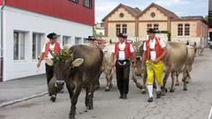 vieschau schönengrundbrund