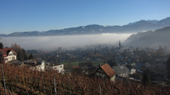 berneck im Nebel